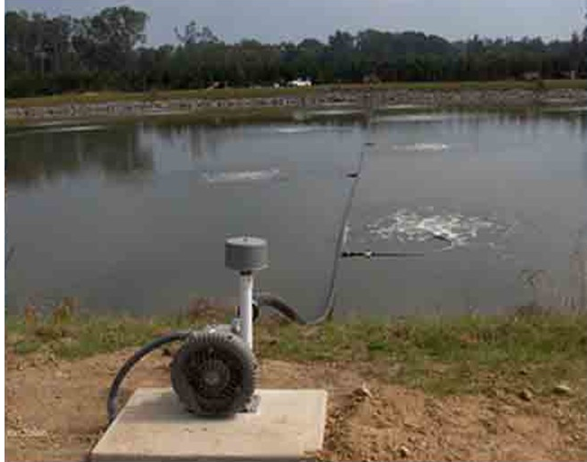 魚塘養殖曝氣高壓風機